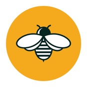 Bee VPN