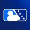 MiLB icon