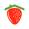 Strawberry House - SERGEY PAK