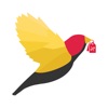 The GoldFinch icon