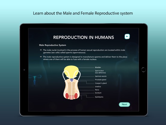 Screenshot #6 pour Reproduction in Humans