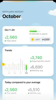 gem - money tracker not working image-3