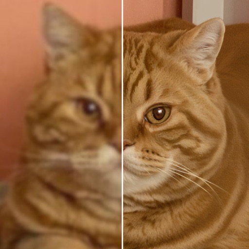 Quantum Upscaler & Photo Fix