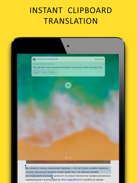 Translator PROMT.One iPad screenshot 5 - Reference app