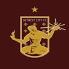 Detroit City FC icon