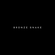 BRONZE SNAKE