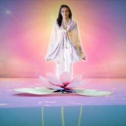 Lotus Ocean