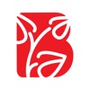 Bø blad icon