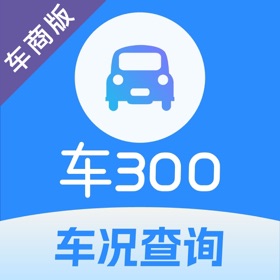 车300专业版-维保出险记录评估车辆历史车况