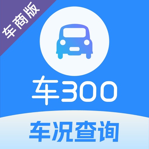 车300专业版-维保出险记录评估二手车批发求购