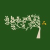 Raintree Finance icon