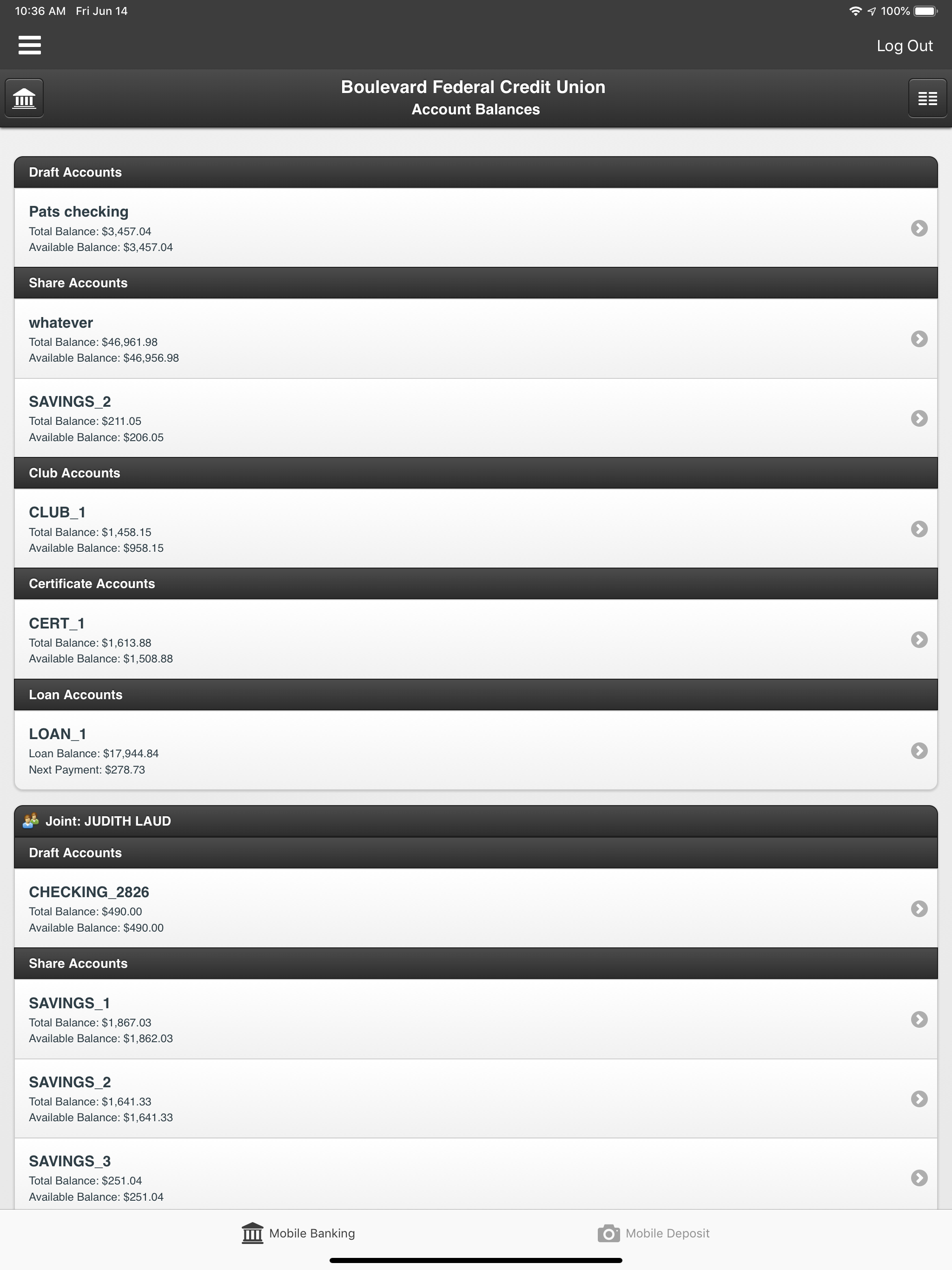 Boulevard FCU screenshot 6