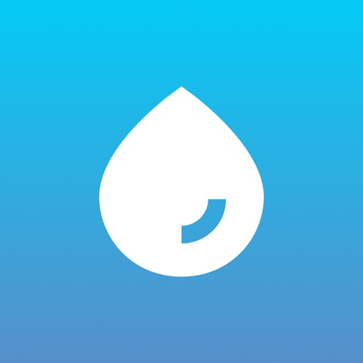FlowMate AI
