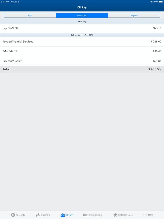 Old National Mobile iPad screenshot