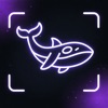YKS, LGS Soru Çözücü: Shifu Ai icon