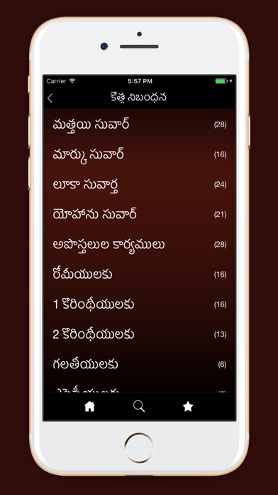 Holy Bible - Telugu Edition iPhone screenshot 2