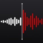 Download Voice Recorder: Audio Memos app