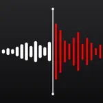 Voice Recorder: Audio Memos App Cancel