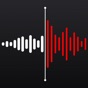 Voice Recorder: Audio Memos app download