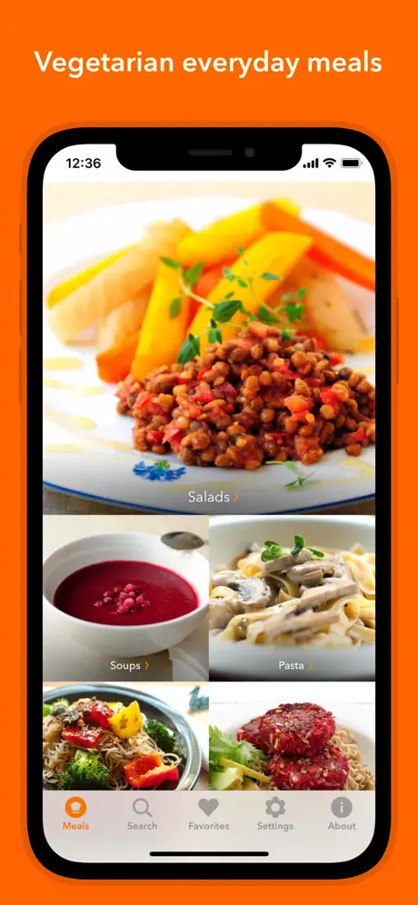 Veggie Meals