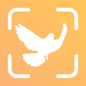 Bird Identifier: BirdID