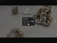 Stop Motion Plus ipad bilder 1