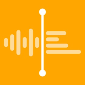 Voix: Record & AI Transcribe