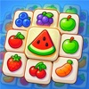 Match Solve Brain Challenge icon