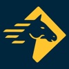Paladin Risk Solutions BlueSky icon