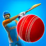 Cricket League App Contact