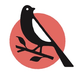 The Mockingapp