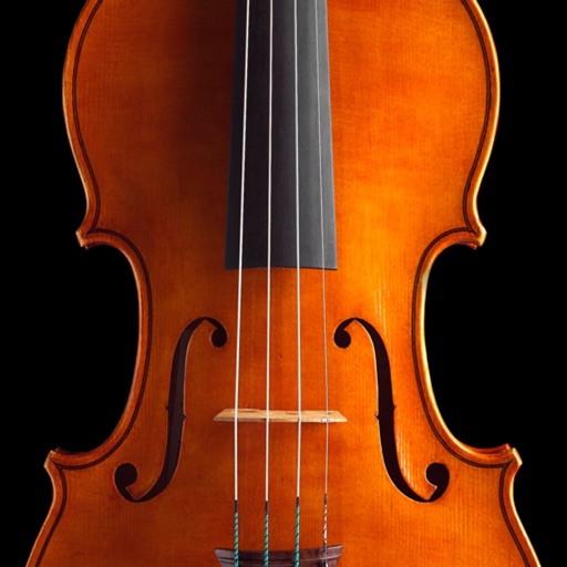 Violin ٞ