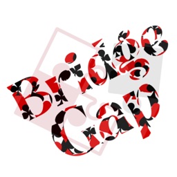 BridgeGap: Card Game