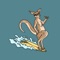 NOTE: Access to this app is limited to Sydney Surf Club members