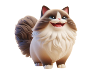 Happy Ragdoll Cat Stickers