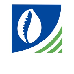 BDM MOBILE