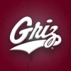 Montana Grizzlies icon