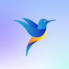 Rise Egypt - Deall Inc.