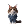 Well-Dressed Maine Coon icon