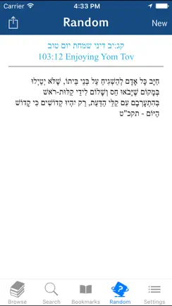 Kitzur Shulchan Aruch iPhone image 4
