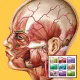 Atlante di Anatomia-Sezioni - Icona app