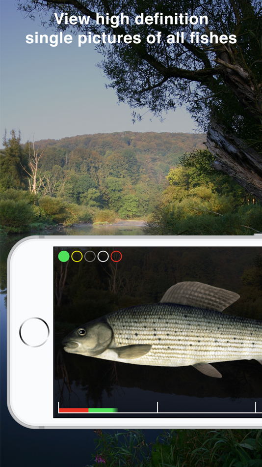 #4. Fishguide Badenia-Wurttemberg (iOS) 由: Robin Schaefer