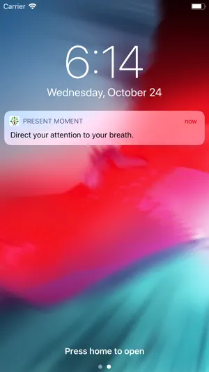 Present Moment screenshot 2