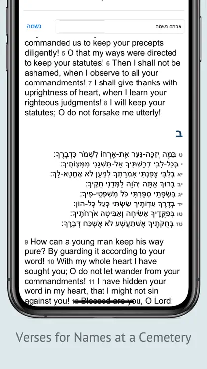Tehilim תהלים Tehillim Psalms ekran görüntüsü 4 / 5
