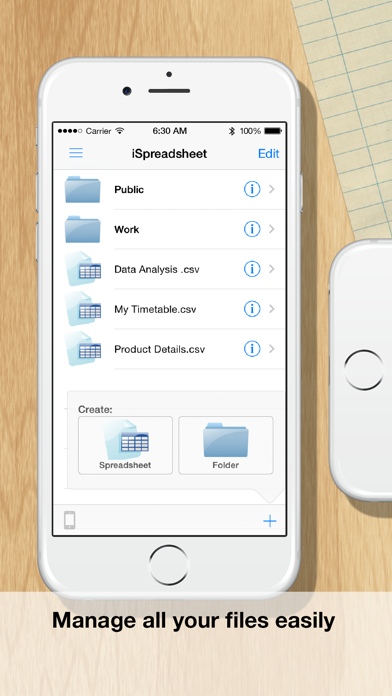 iSpreadsheet™ Screenshot