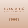 Meliá & Audi icon