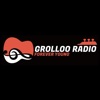GROLLOO RADIO app icon - Music app for iPhone