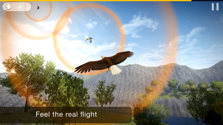 Bird Fly High 3D Simulator