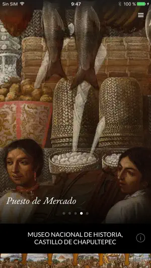 SC Museo Nacional Historia MX screenshot 1