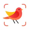 Similar Picture Bird: Birds Identifier Apps